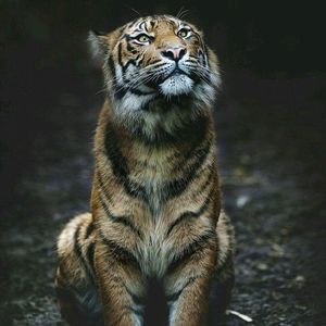 Meet your Posher, Nastasia